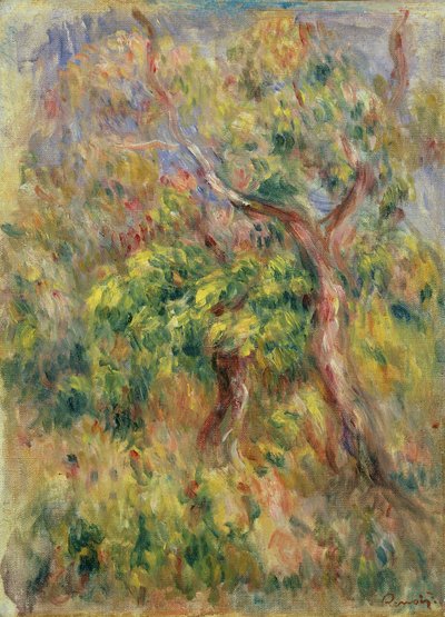 Arbres, 1915-16 - Pierre Auguste Renoir